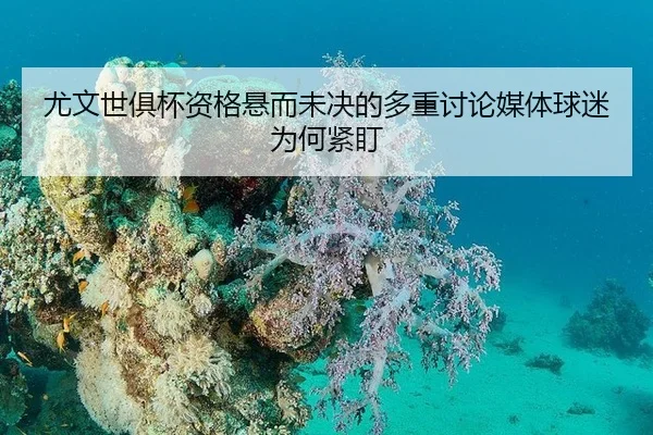 尤文世俱杯资格悬而未决的多重讨论媒体球迷为何紧盯